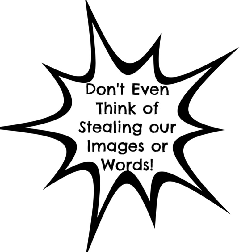 don't steal our images or words